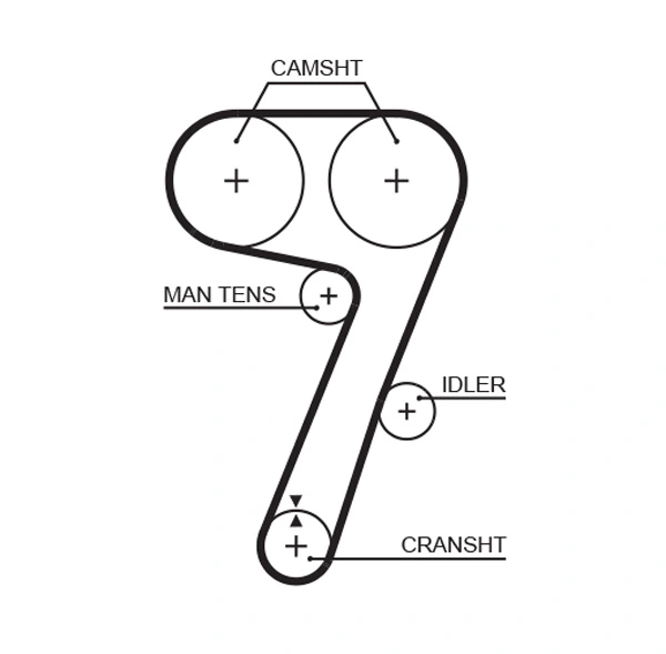 Timing Belt