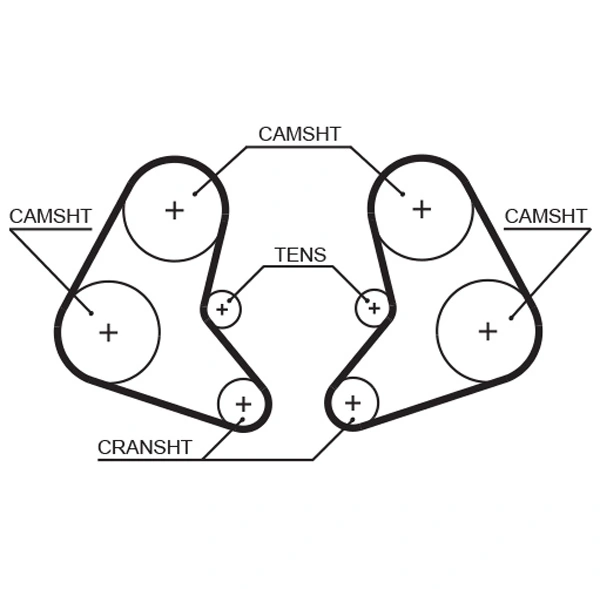 Timing Belt