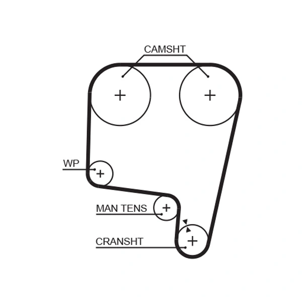 Timing Belt
