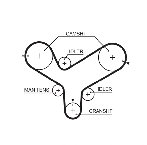 Timing Belt
