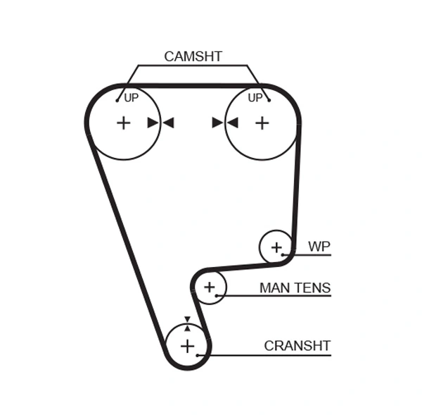 Timing Belt