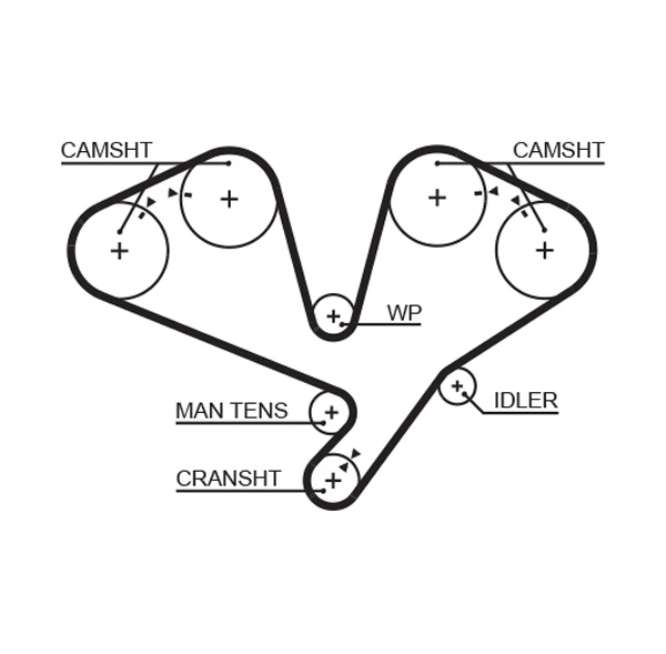 Timing Belt