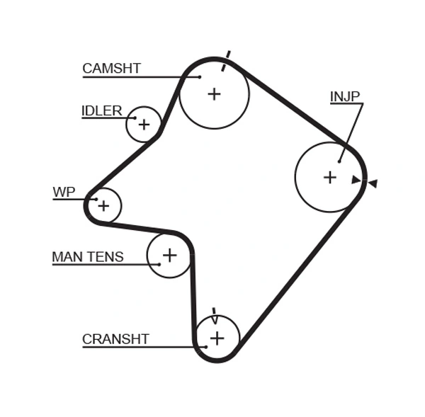 Timing Belt