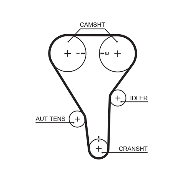 Timing Belt