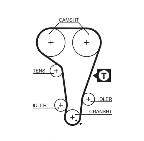 Timing Belt