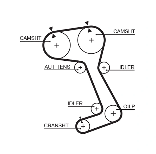 Timing Belt
