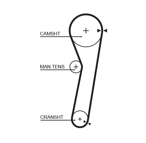 Timing Belt