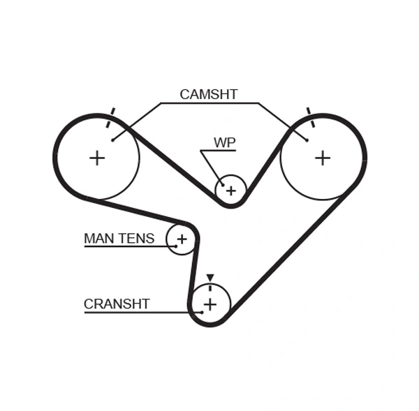 Timing Belt