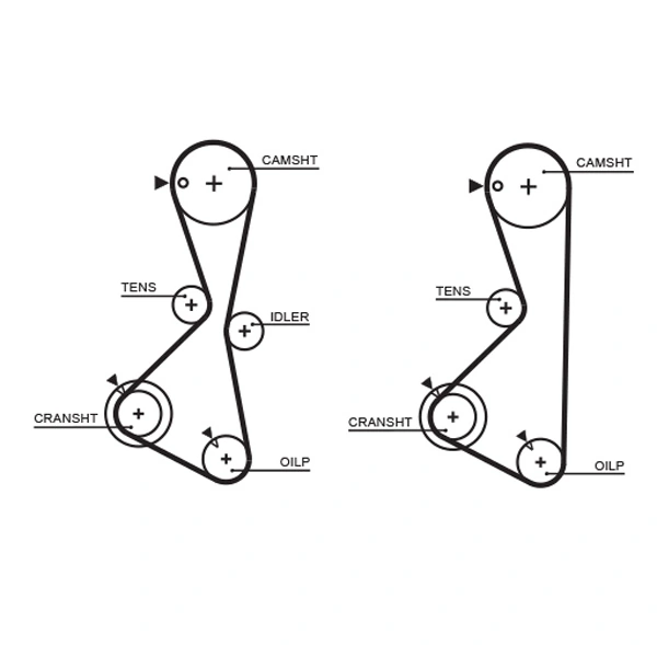 Timing Belt
