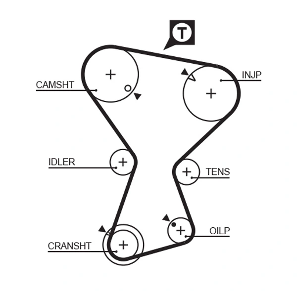 Timing Belt