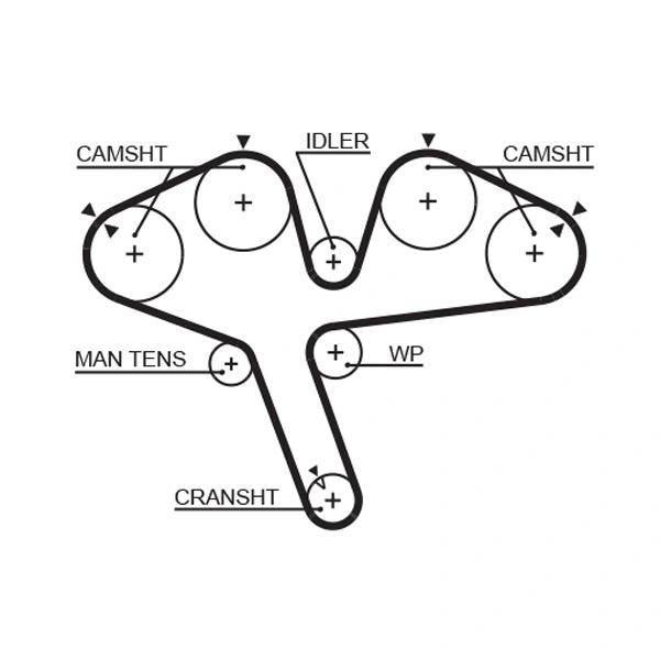 Timing Belt