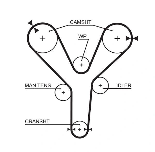 Timing Belt