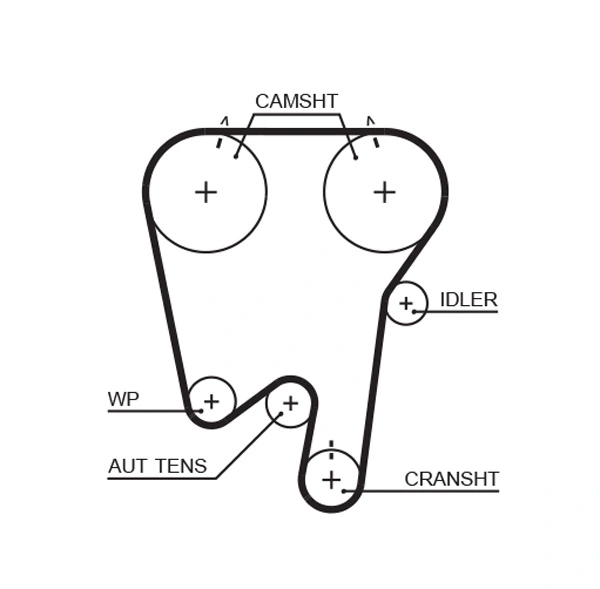 Timing Belt