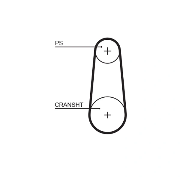 Timing Belt