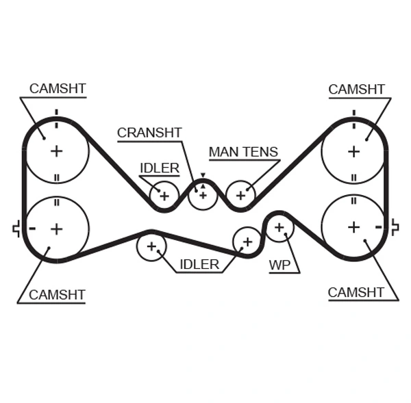 Timing Belt