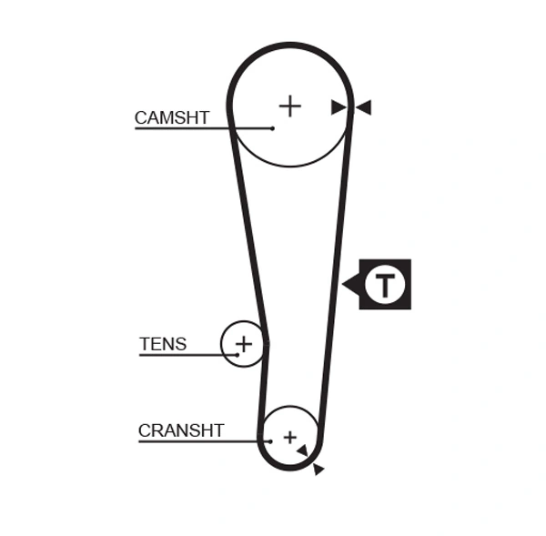 Timing Belt