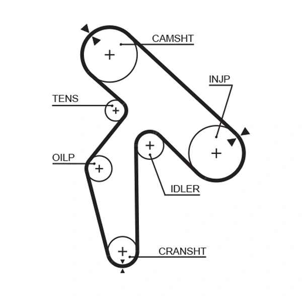 Timing Belt