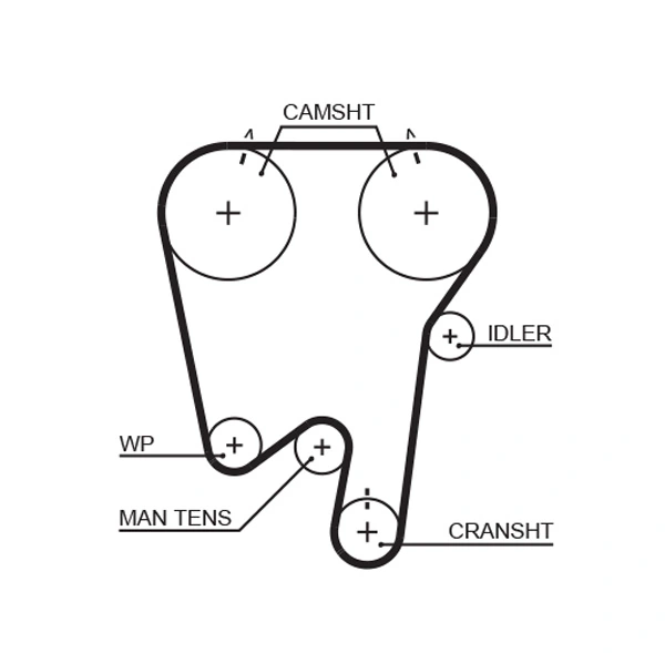 Timing Belt