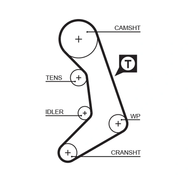 Timing Belt