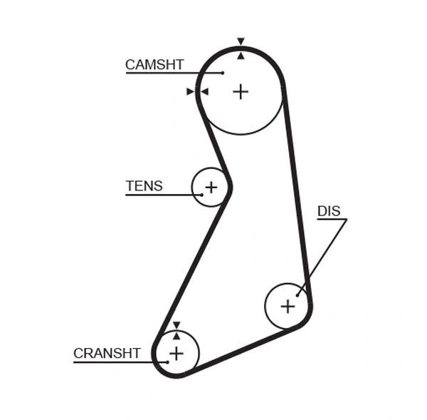 Timing Belt