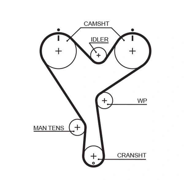 Timing Belt