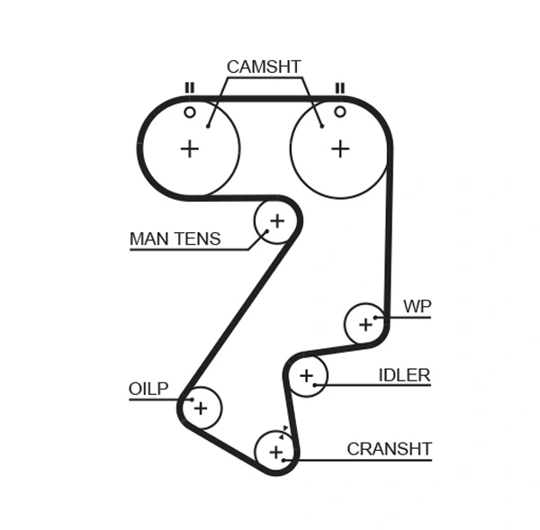 Timing Belt
