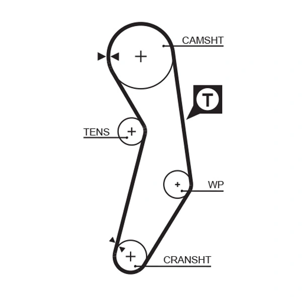 Timing Belt