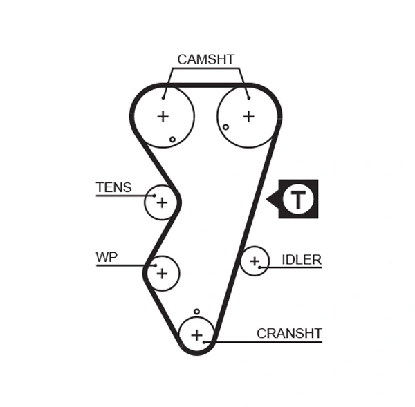 Timing Belt