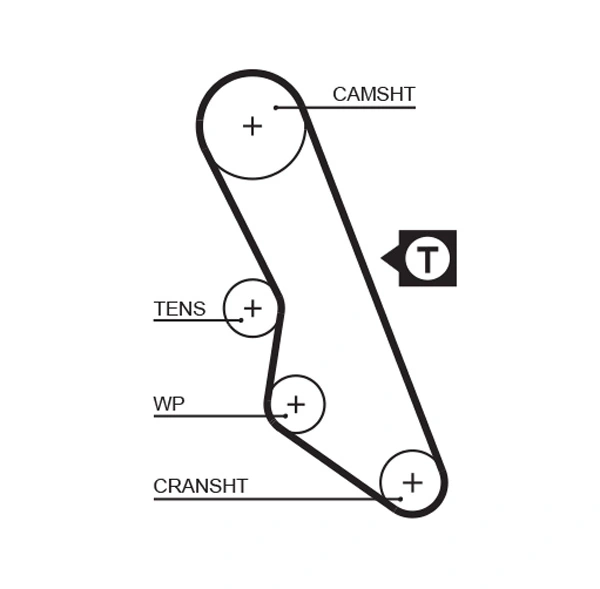 Timing Belt