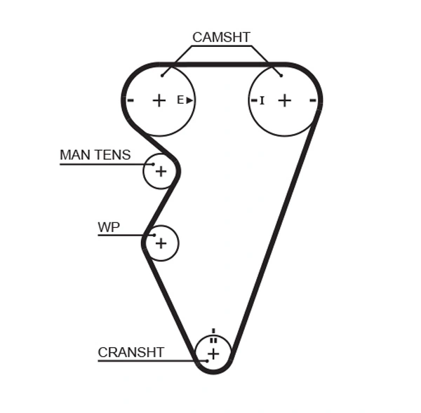 Timing Belt