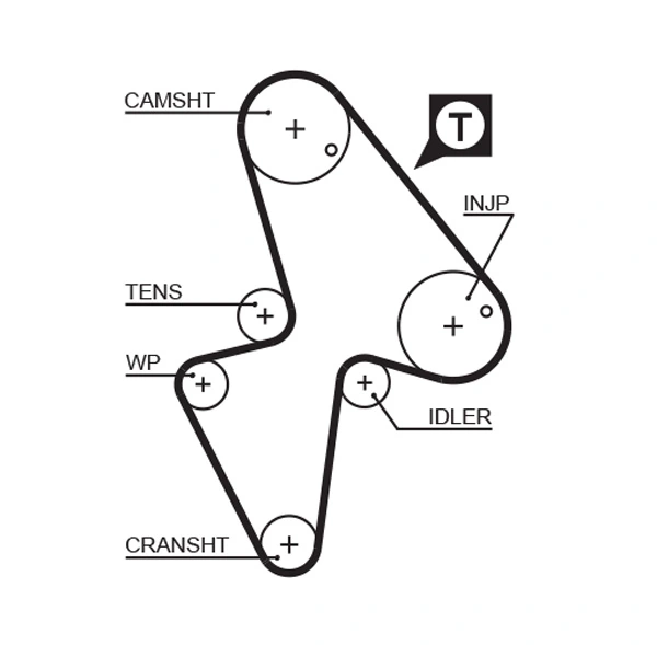Timing Belt
