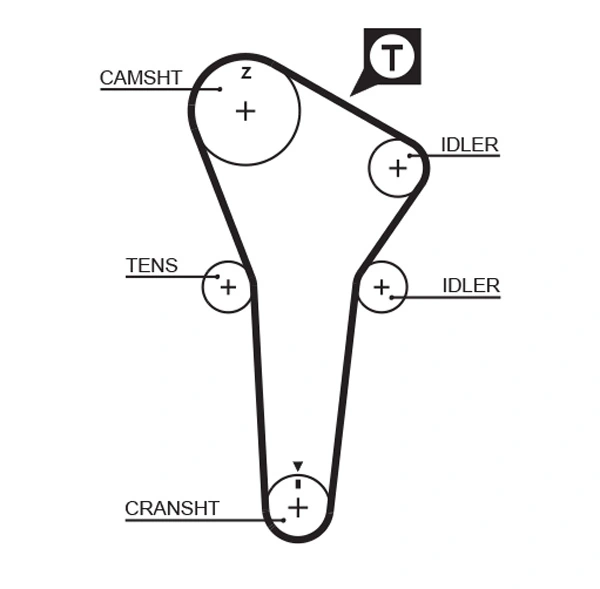 Timing Belt