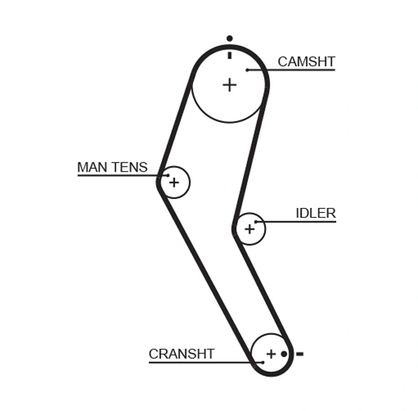 Timing Belt