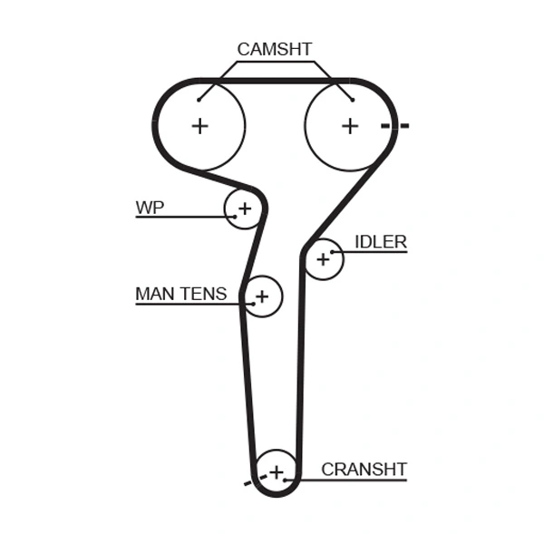 Timing Belt
