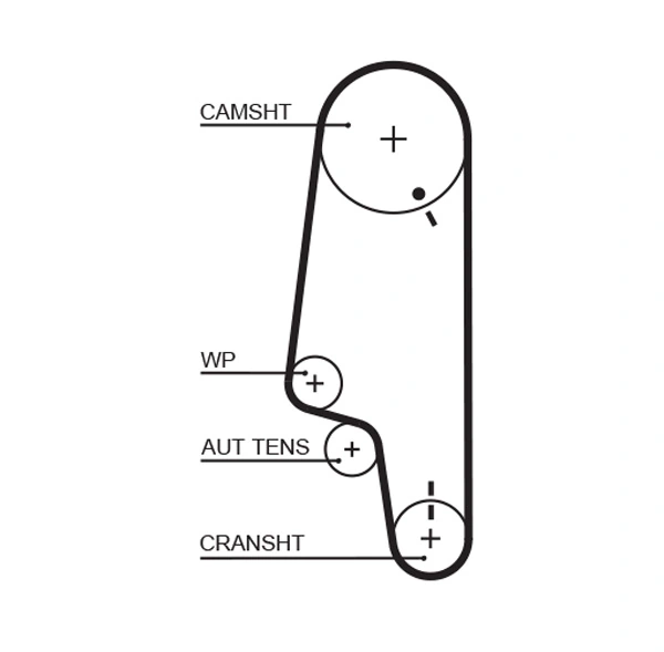 Timing Belt