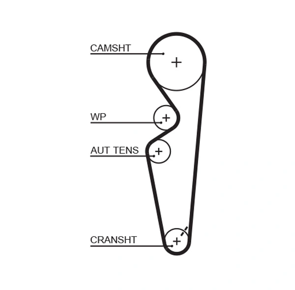Timing Belt