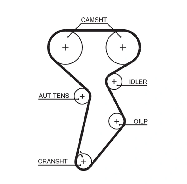 Timing Belt