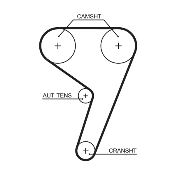 Timing Belt