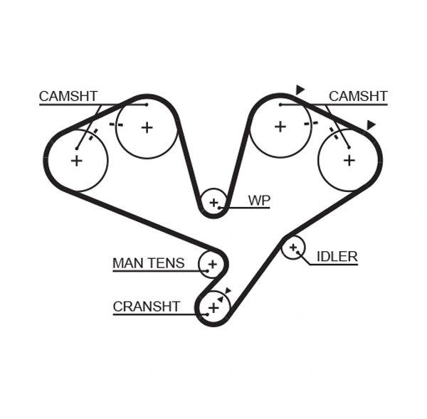 Timing Belt