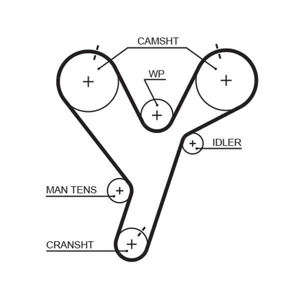Timing Belt