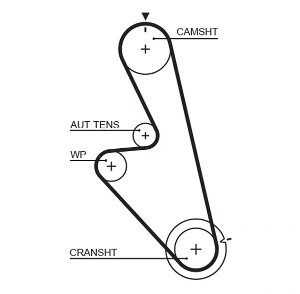 Timing Belt