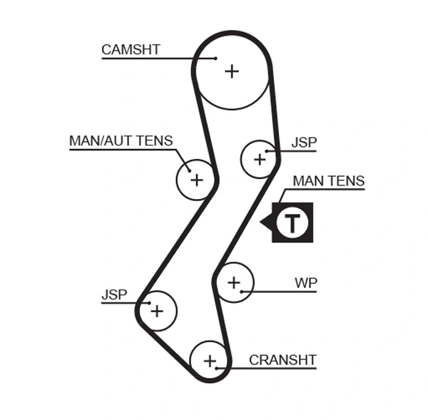 Timing Belt