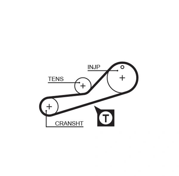 Timing Belt