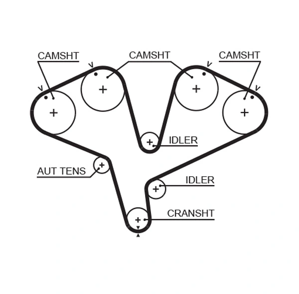Timing Belt