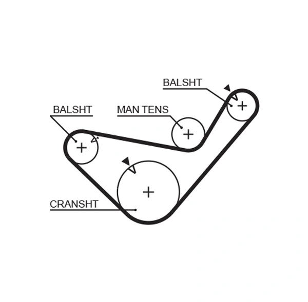 Timing Belt