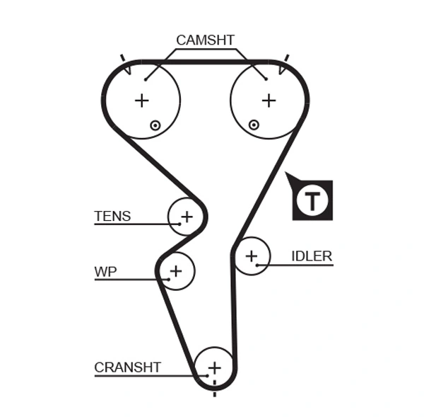 Timing Belt