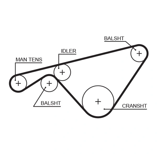 Timing Belt