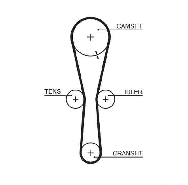 Timing Belt