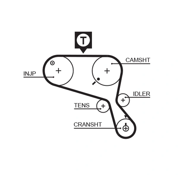 Timing Belt