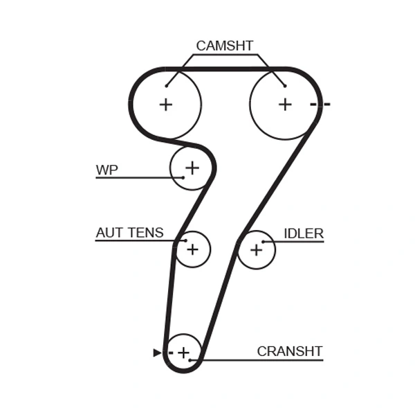 Timing Belt